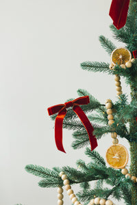 Tree Bow Bundle | Velvet Long Bow | Set of 6 | Tree Ornaments | Home Decor | Made to Order-bundle-Bardot Bow Gallery-Balsam-Bardot Bow Gallery